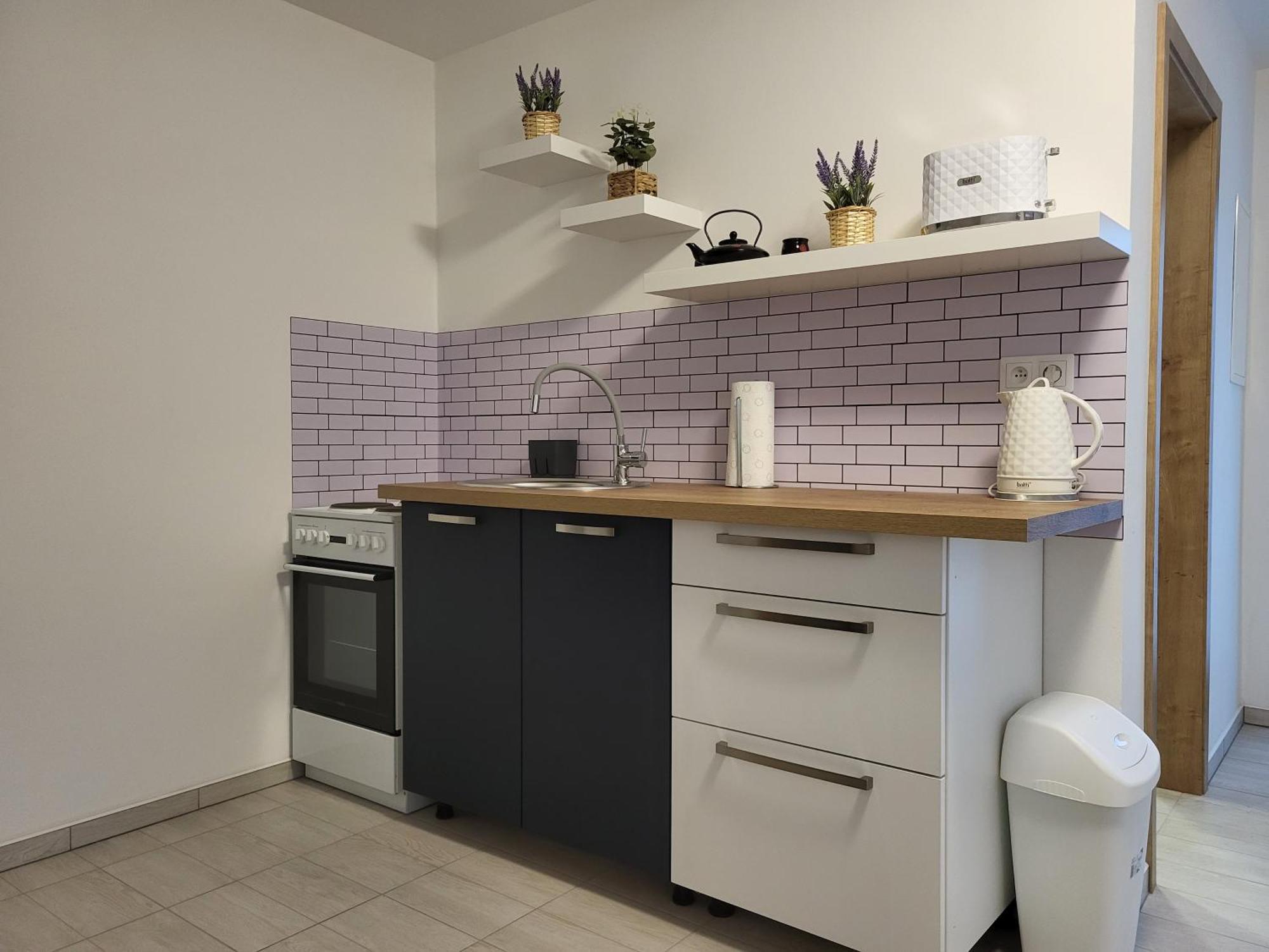Apartman Na Karlicku Карлов Экстерьер фото