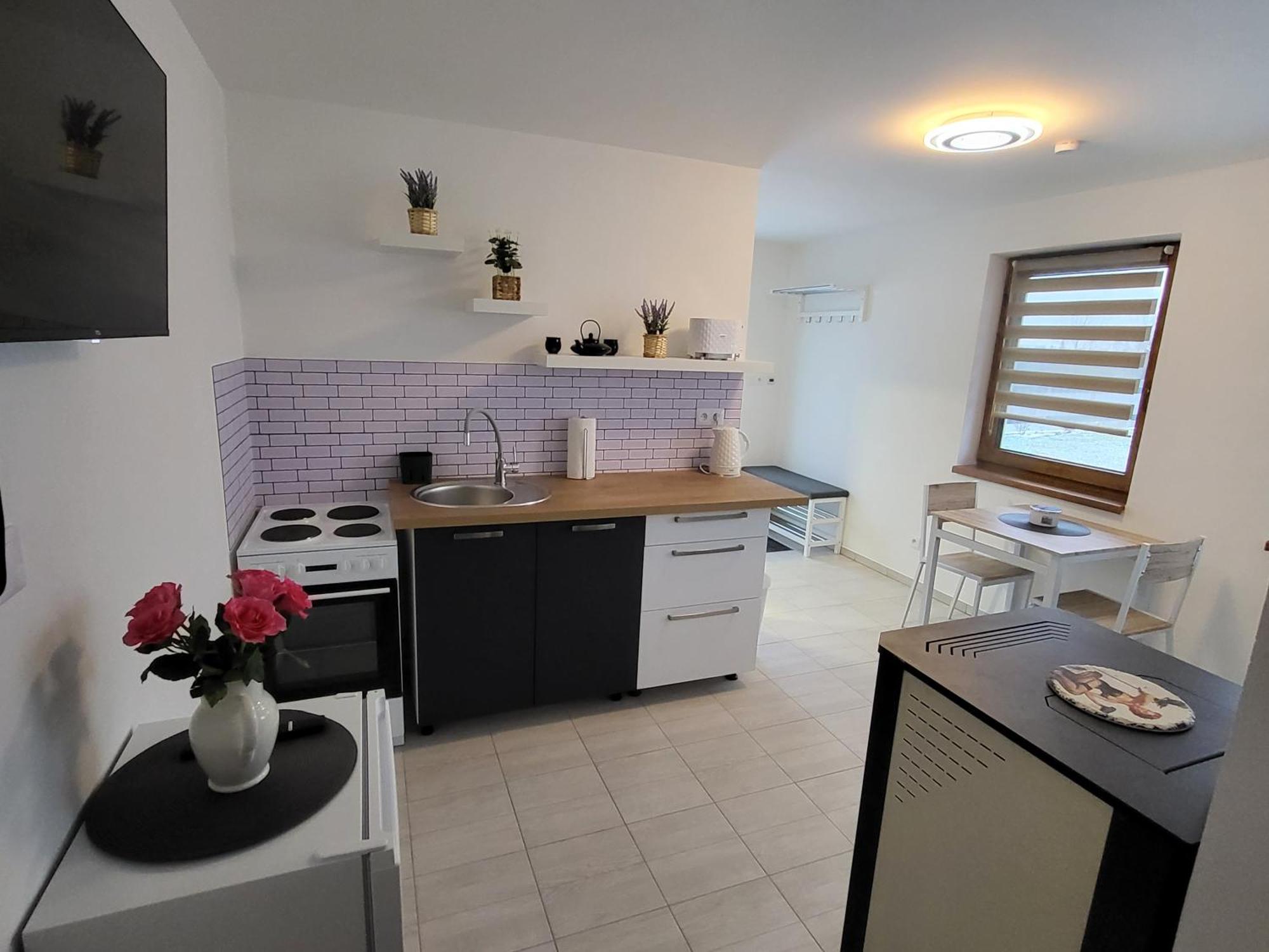 Apartman Na Karlicku Карлов Экстерьер фото